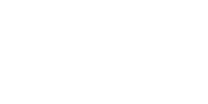 servicos_gerais9